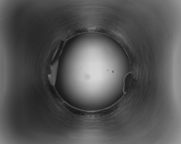X0000088060740200705251342