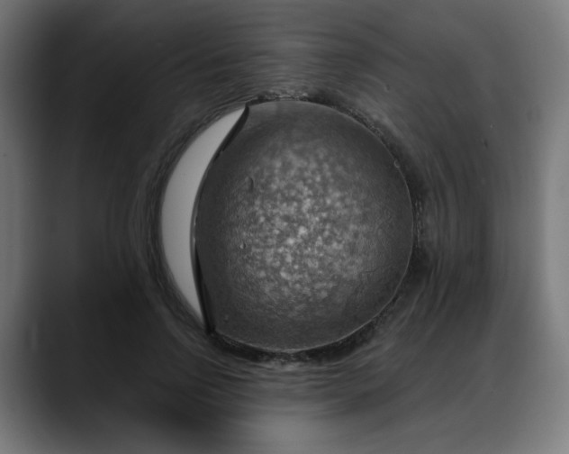 X0000088060742200705251342