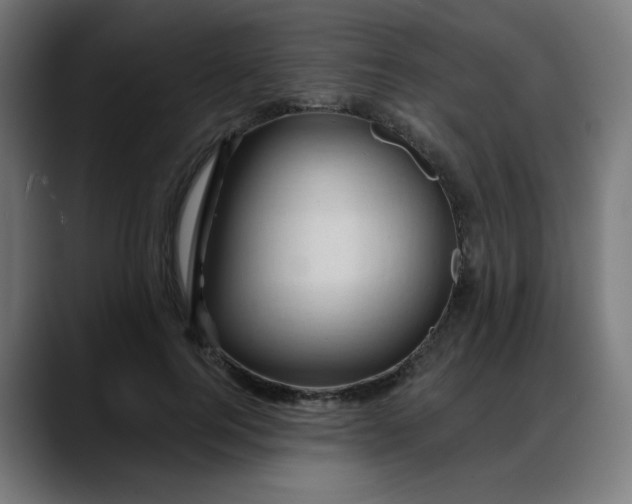 X0000088060744200705251342