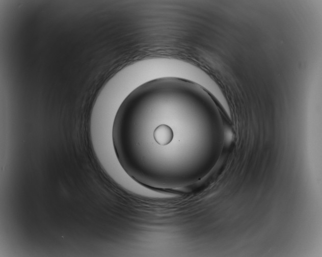 X0000088060748200705251342