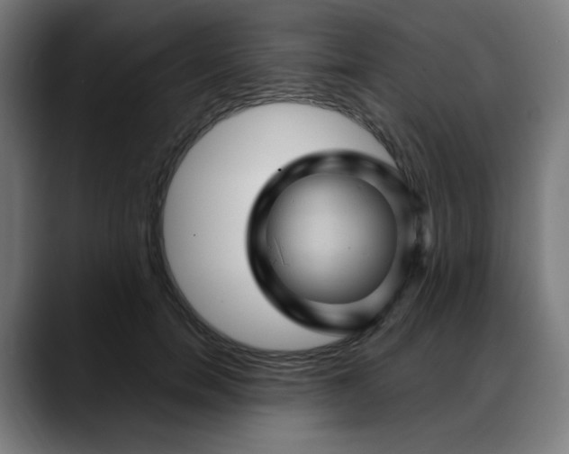 X0000088060750200705251342