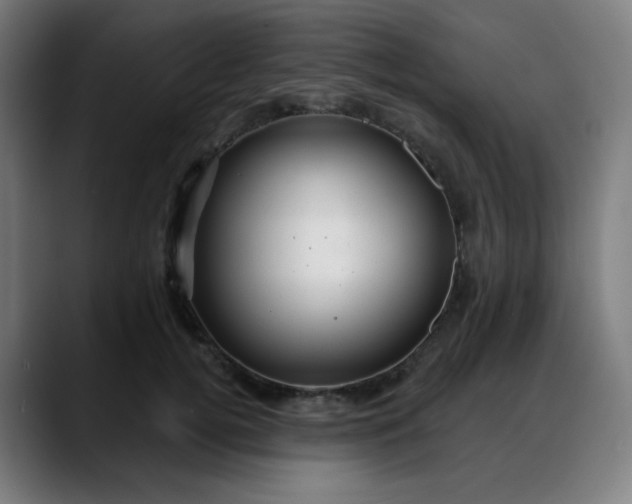 X0000088060752200705251342