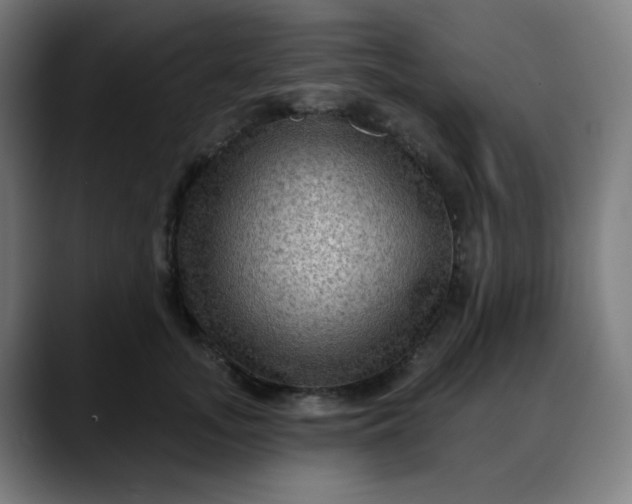 X0000088060755200705251342