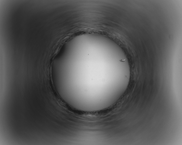 X0000088060756200705251342