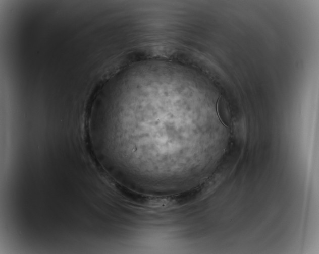 X0000088060757200705251342