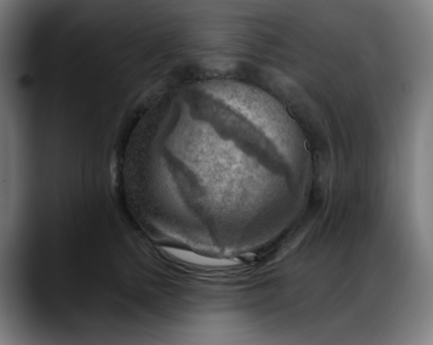 X0000088060758200705251342