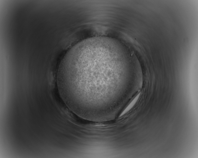 X0000088060759200705251342