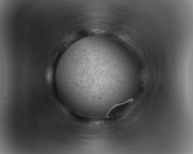 X0000088060760200705251342