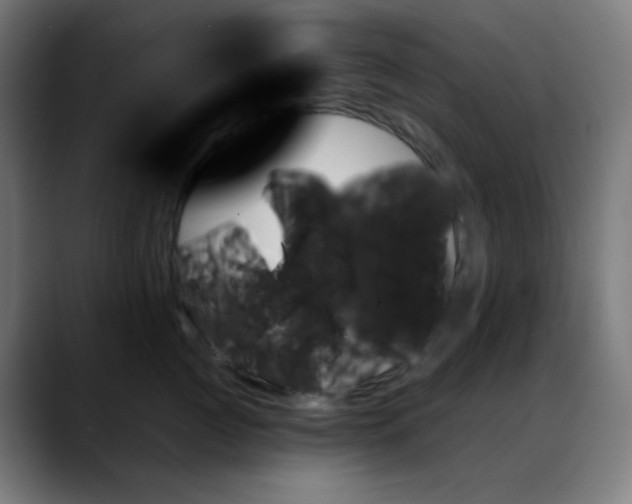 X0000088060761200705251342