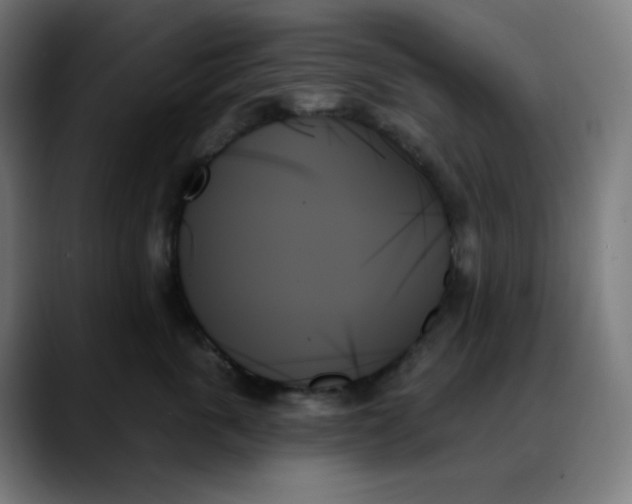 X0000088060763200705251342