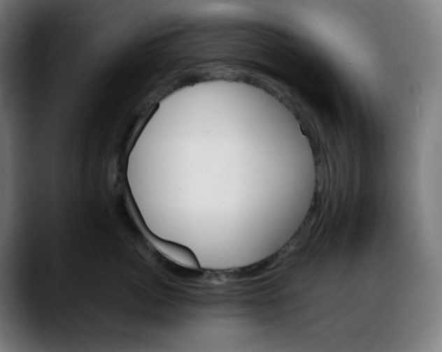 X0000088060764200705251342