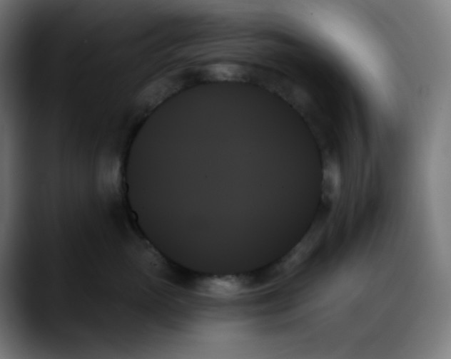 X0000088060765200705251342