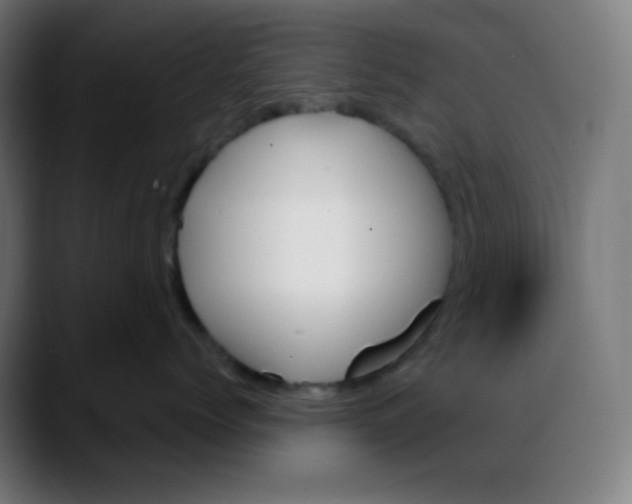 X0000088060768200705251342