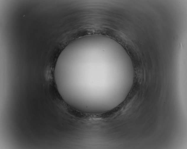 X0000088060770200705251342