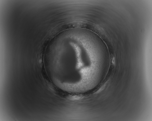 X0000088060771200705251342