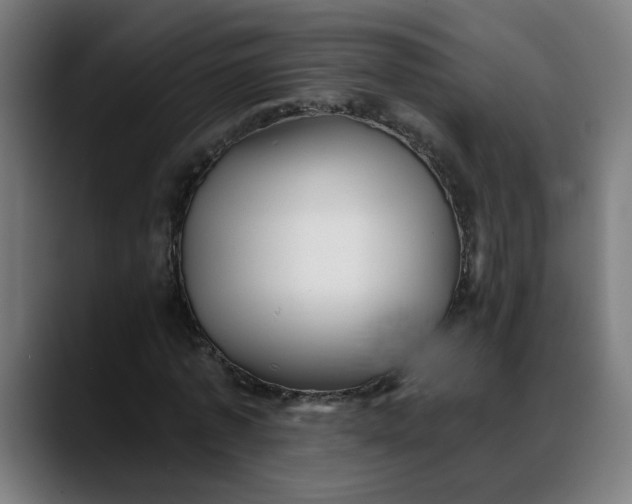 X0000088060773200705251342