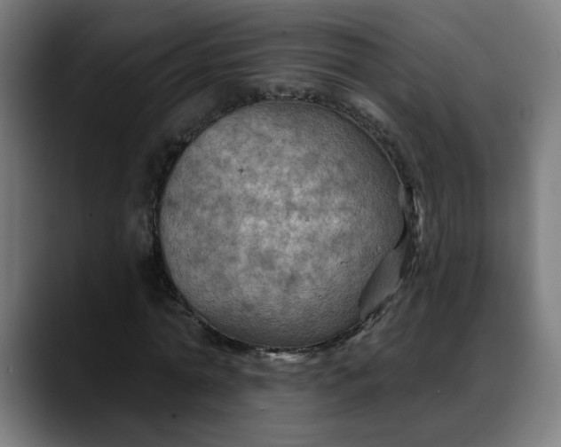 X0000088060774200705251341
