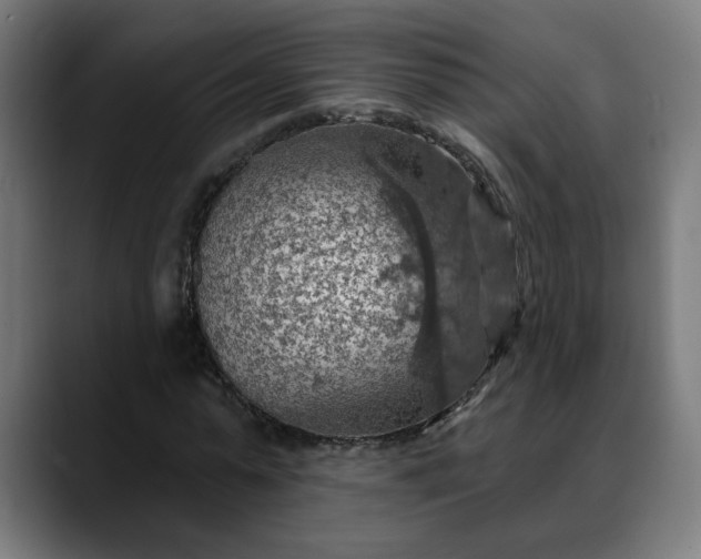 X0000088060775200705251341