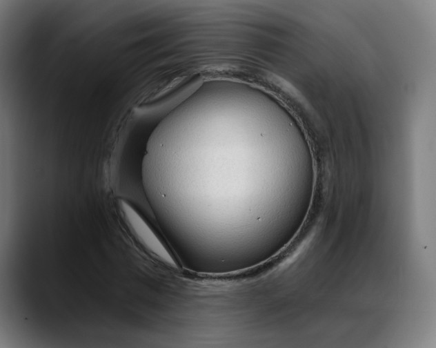 X0000088060777200705251341