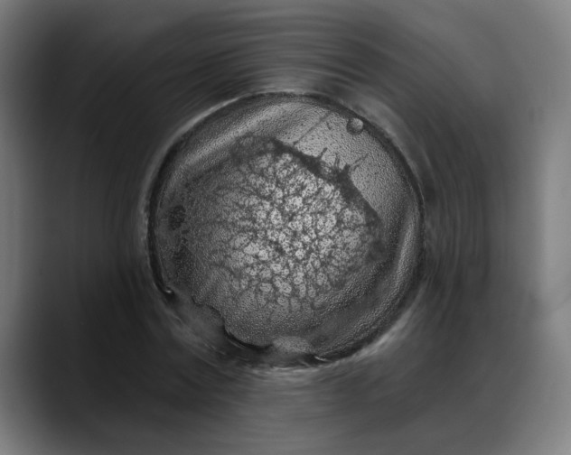 X0000088060779200705251341
