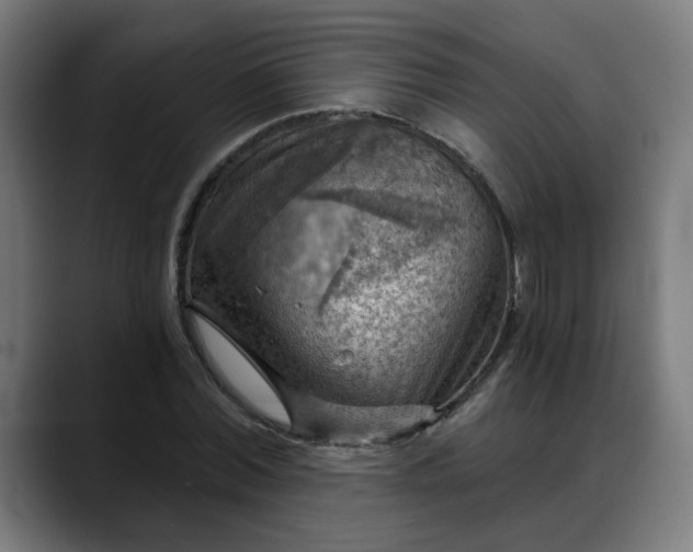 X0000088060780200705251341