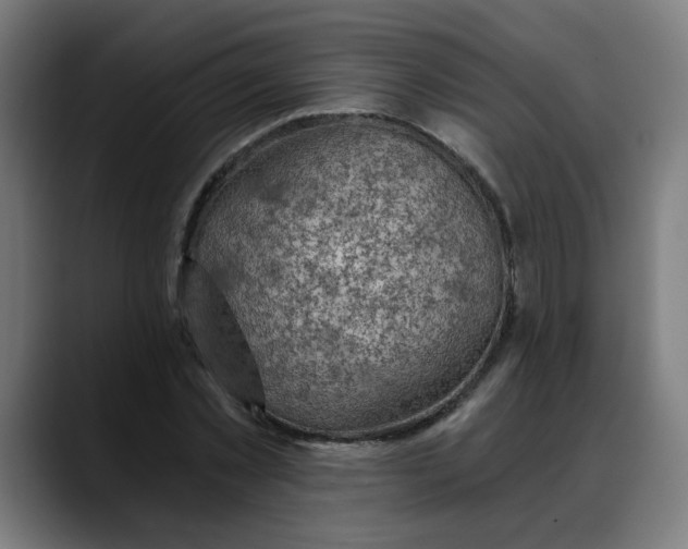 X0000088060781200705251341