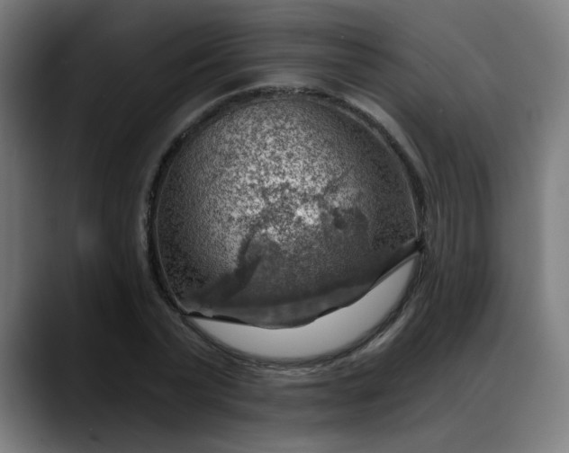 X0000088060783200705251341