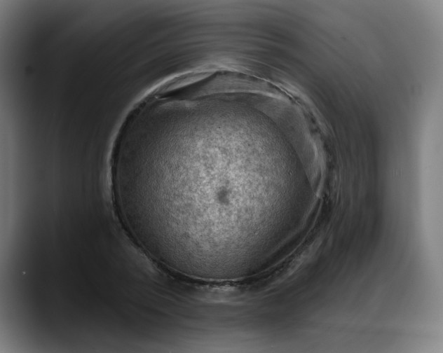 X0000088060784200705251341