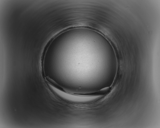 X0000088060789200705251341