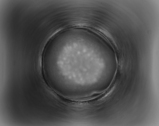 X0000088060790200705251341