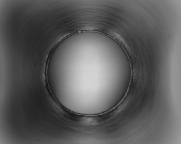 X0000088060794200705251341