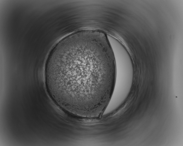 X0000088060795200705251341