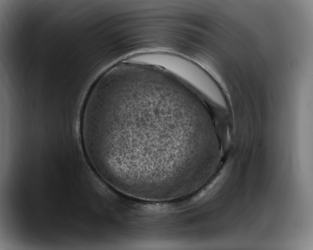 X0000088060797200705251341