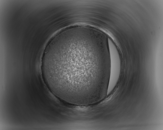 X0000088060799200705251341