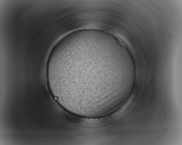 X0000088060800200705251341