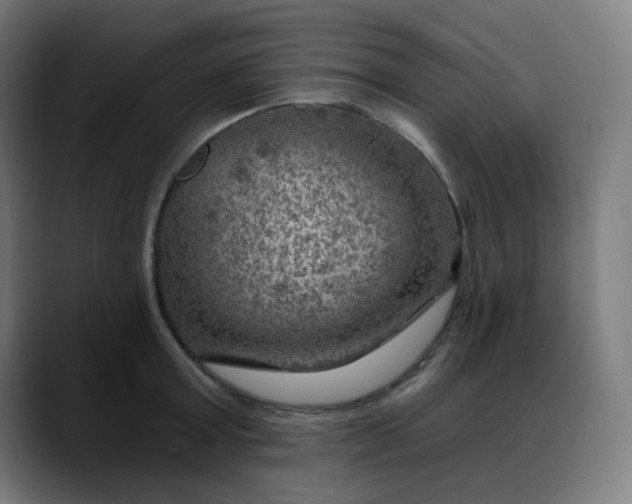 X0000088060803200705251341