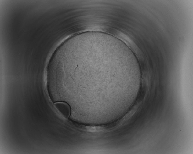 X0000088060804200705251341