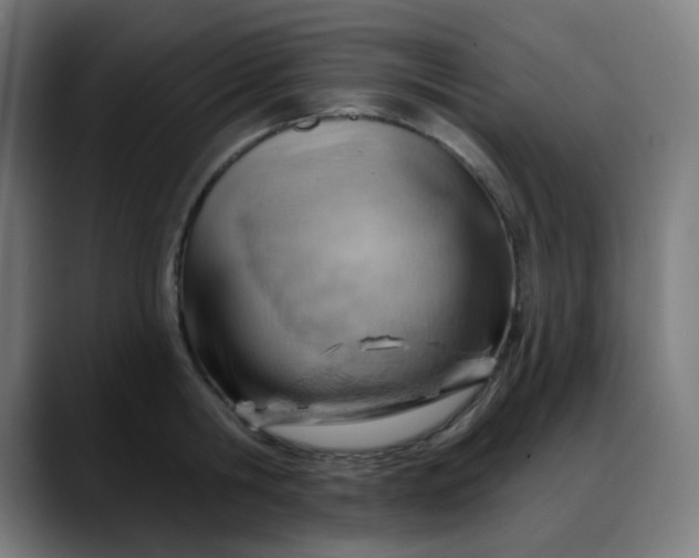 X0000088060806200705251341