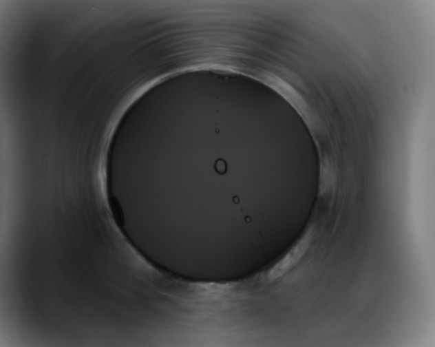 X0000088060812200705251341