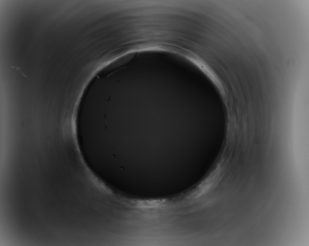X0000088060813200705251341