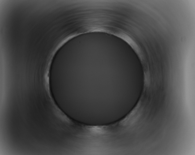 X0000088060814200705251341