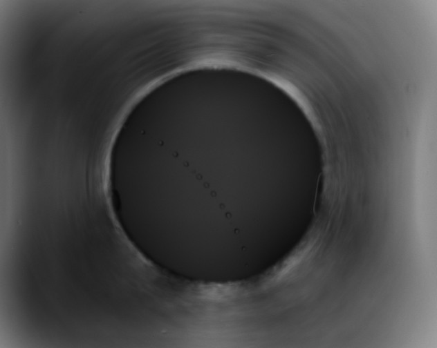 X0000088060815200705251341