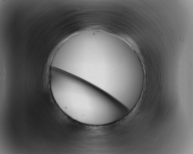 X0000088060816200705251341