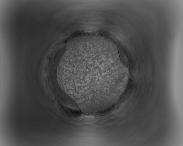 X0000088060817200705251340