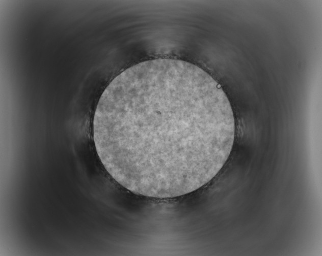 X0000088060820200705251340