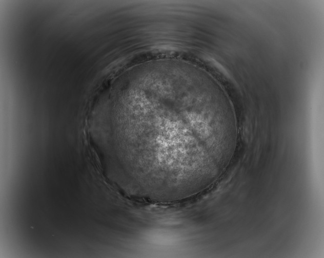 X0000088060821200705251340