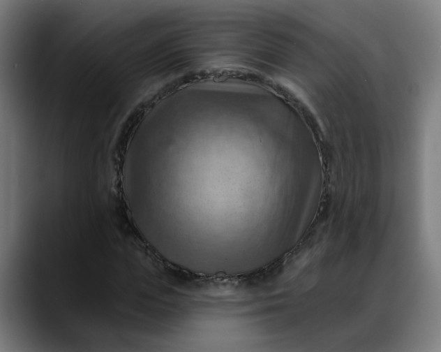 X0000088060823200705251340