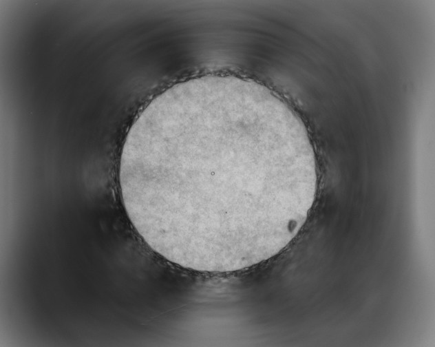 X0000088060824200705251340
