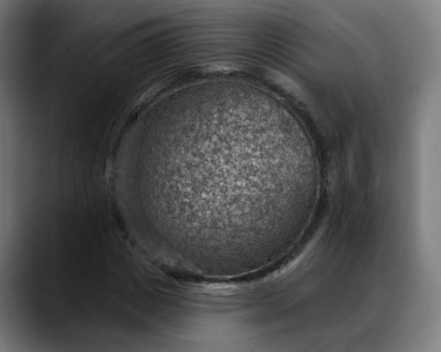 X0000088060825200705251340