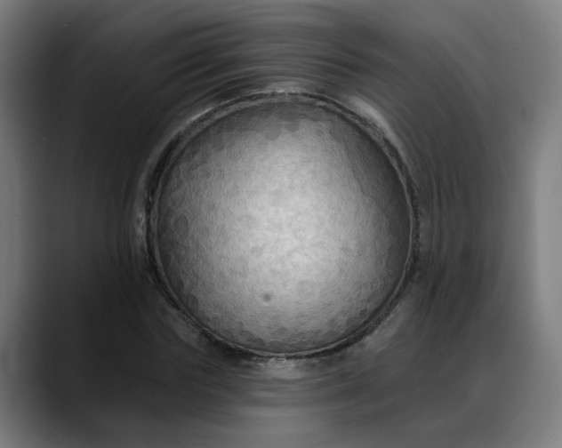 X0000088060827200705251340